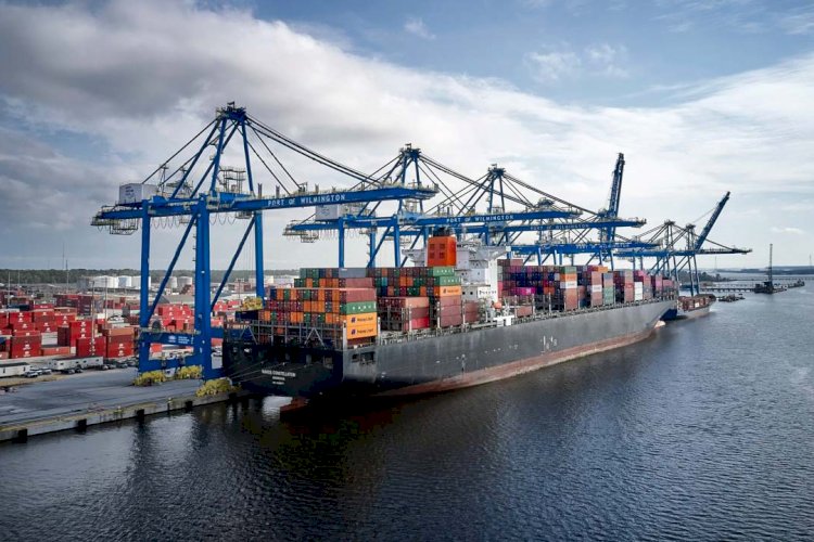 NC Ports opens new refrigerated container yard - SEAWANDERER