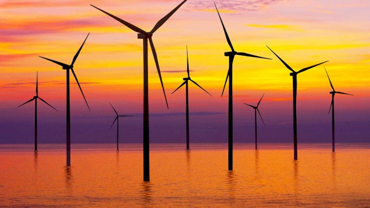 Waves Group awarded MWS contract on Vietnam’s nearshore wind farm