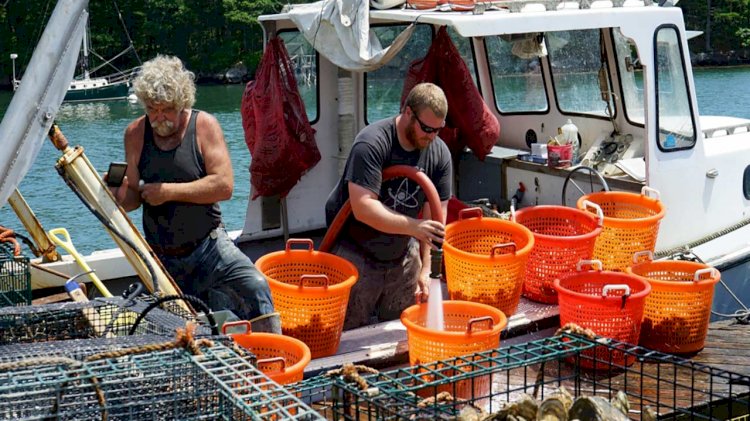 NOAA awards $3.1 million to 21 small businesses to develop new technology for aquaculture