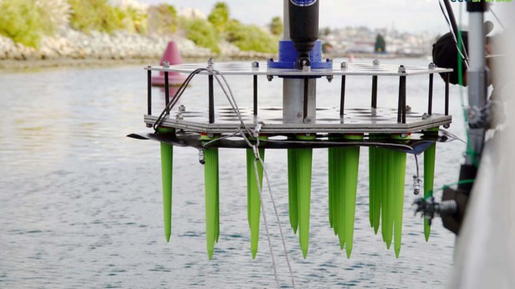 ecoSPEARS to deploy clean water technology at Port of San Diego