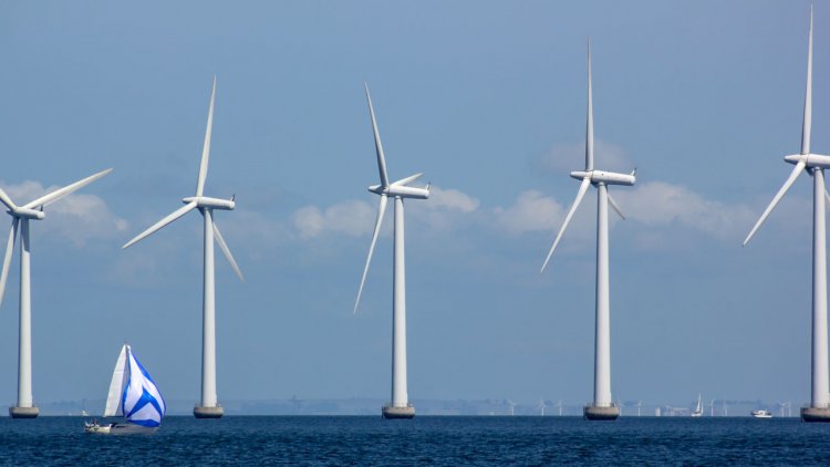 First project of its kind to quantify wind farm blockage under real offshore conditions.