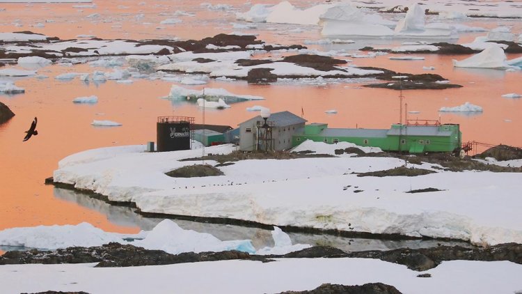 Curious stories of Antarctica: how and why the UK presented its research base to Ukraine