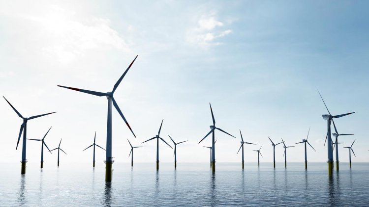Joint project simulates wind and wave loads on the piles of offshore wind turbines