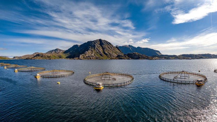Science has not kept pace with aquaculture, study says
