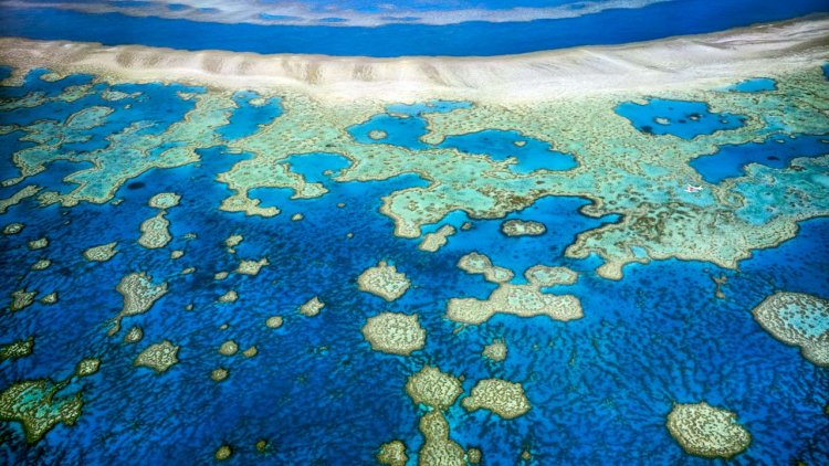 Intervention 'could buy 20 years' for declining Great Barrier Reef, scientists said
