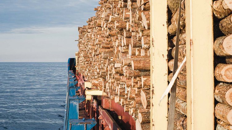 MOL to procure newbuilding Panamax Bulker to transport woody biomass for energy