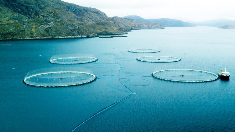 AKVA group supply latest Mowi Scotland salmon farm installation