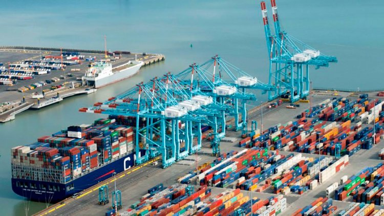 Lingang Group develops logistics platform in Port of Zeebrugge