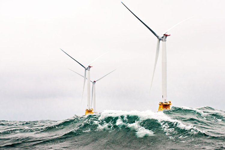 nature inclusive design offshore wind        <h3 class=