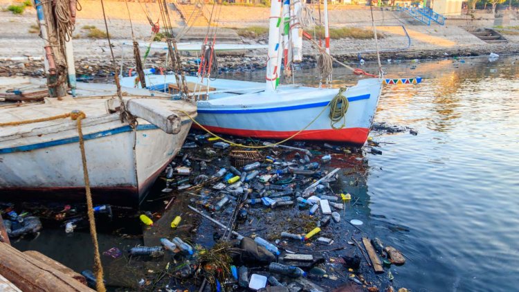 New report examines sea-based sources of marine litter