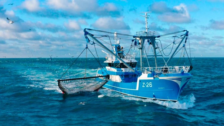 Damen Maaskant delivers Beam Trawler Avanti to Belgian fishing fleet
