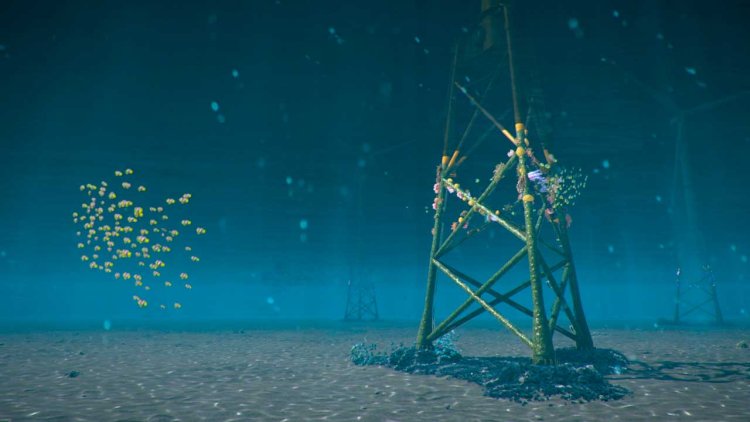 Ørsted trials turning offshore wind turbine foundations into safe havens for corals