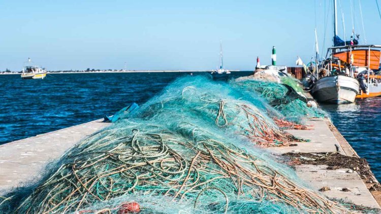 EU moves one step closer to protecting deep-sea ecosystems from bottom fishing