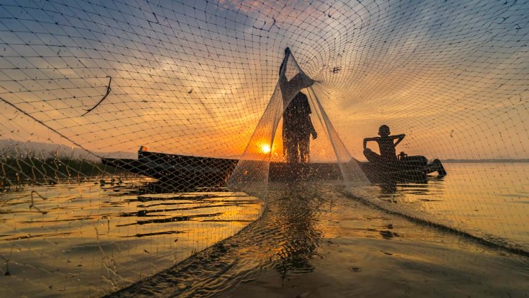 Fishing gear lost at sea globally revealed