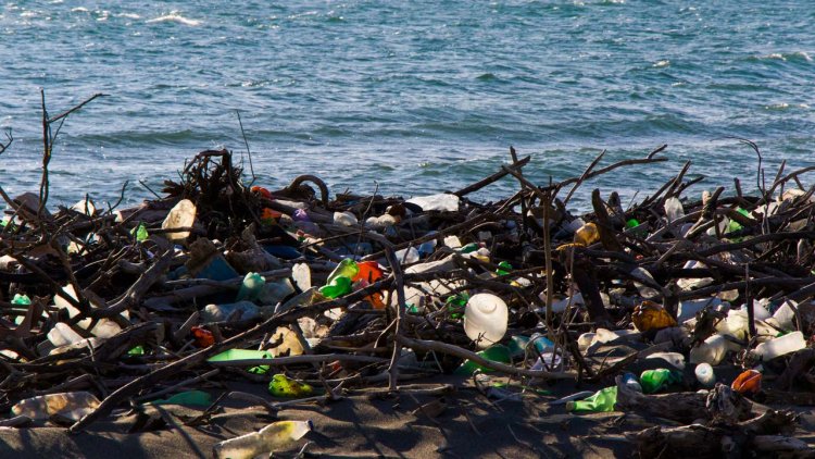 Research explores the potential for mechanical devices to clear the ocean of plastics