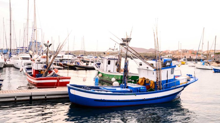 Over £3.5m awarded to sustainable fishing projects as new funding round opens