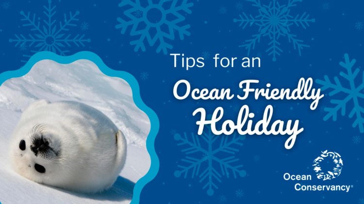 Ocean Conservancy offers tips for an ocean friendly holiday