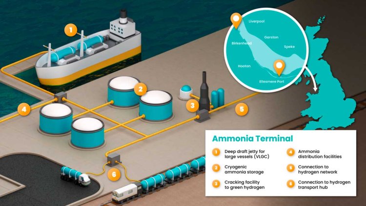 Green ammonia import terminal to open in Liverpool