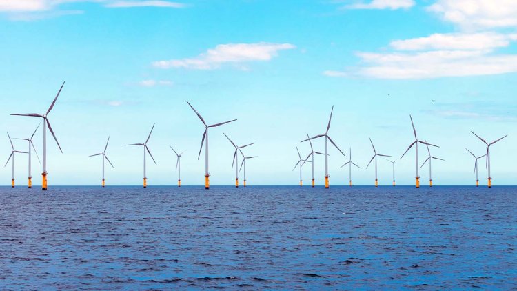Negative bidding continues to burden offshore wind development