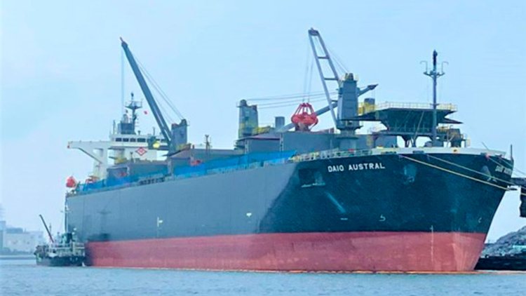 NYK conducts biofuel trial on vessel transporting wood chips for Daio Paper