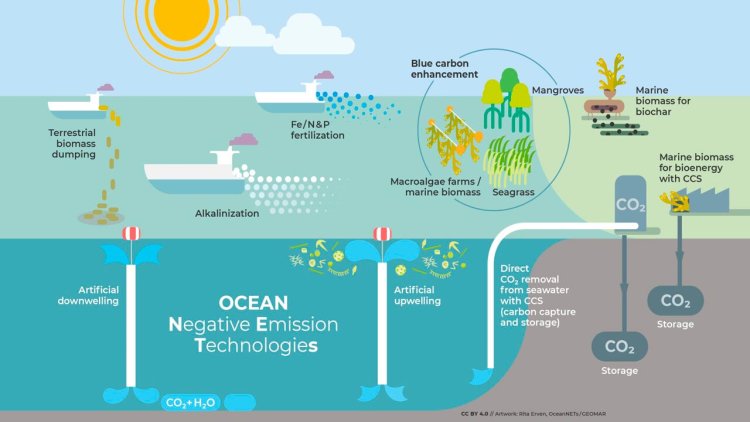Ocean-based negative emissions technologies: A governance framework review