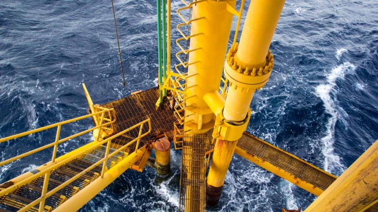 Altera awarded contracts with Eni for the Baleine Field