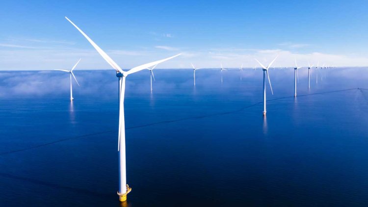 Nova Scotia government retreats on plan to fast-track wind farms in coastal bays