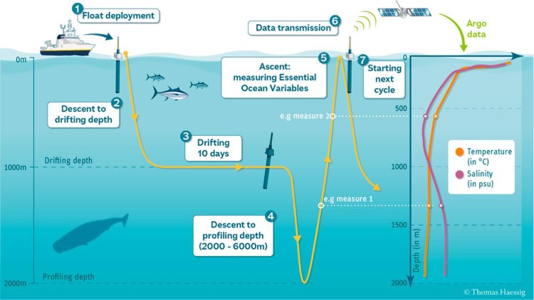 Deep-ocean Argo floats expand climate impact monitoring in the NE Pacific