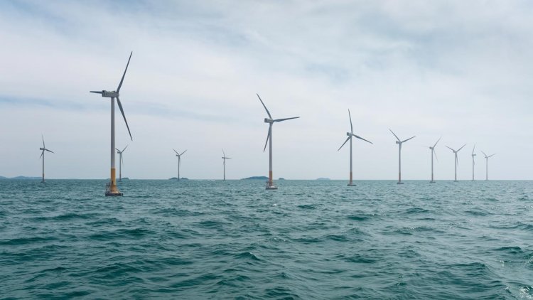 "Wind yield" in the Dutch and German North Sea generates more than 30 terawatt hours