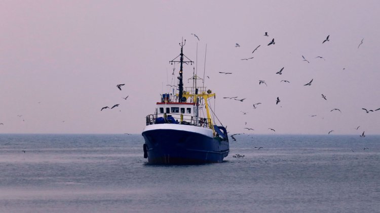 Brexit-induced spatial restrictions reveal alarming increase of fishing fleet's carbon footprint