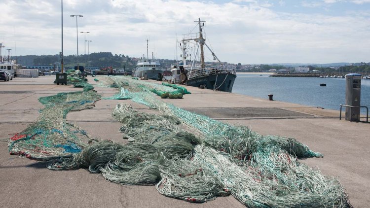 Energy transition: Charting a fair course for fishing fleets