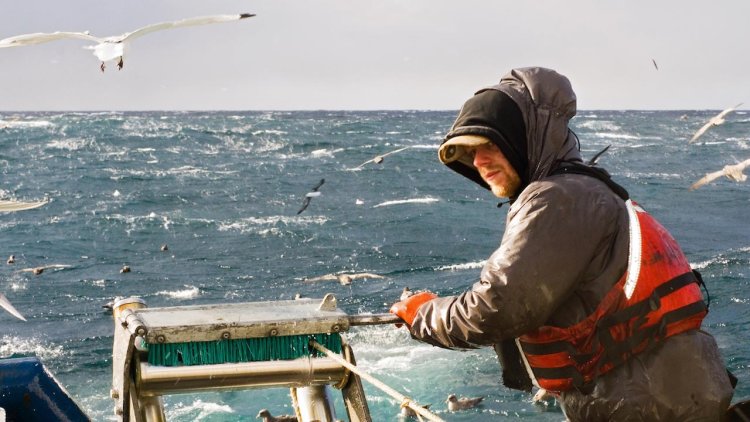 Nova Scotian tech startup revolutionizes bottom-trawling equipment
