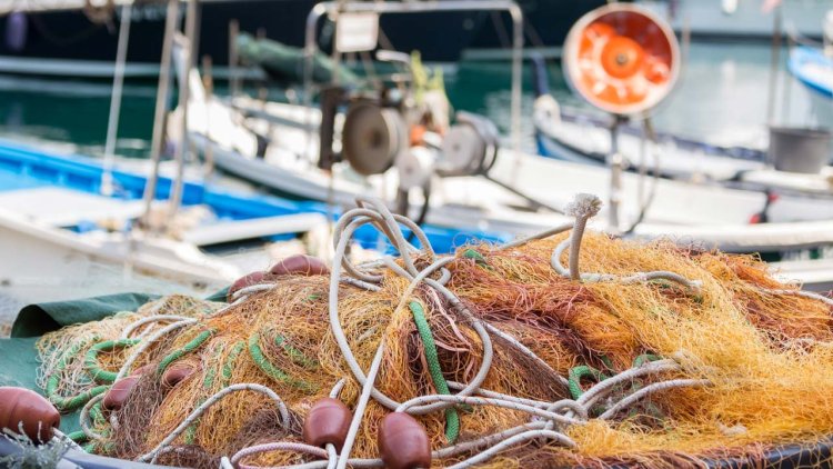 Researchers investigate how fishing lines are handled by the Norwegian fishing industry