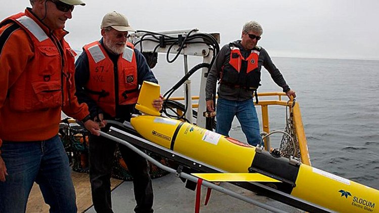 Autonomous underwater gliders help to research ocean hypoxia