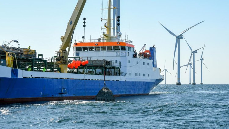 RWE tests artificial reefs at offshore wind farm in the Baltic Sea