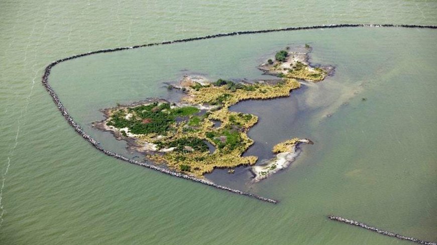 Van Oord awarded contract for nature restoration projects in the Netherlands