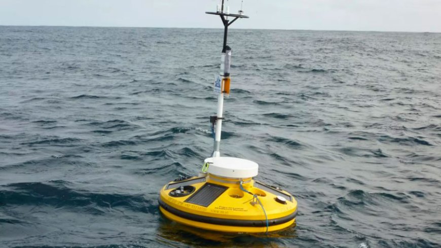 Fugro metocean monitoring network safeguards Italy’s marine environment