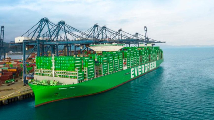 Evergreen adds eleven 24,000 teu box ships to its orderbook