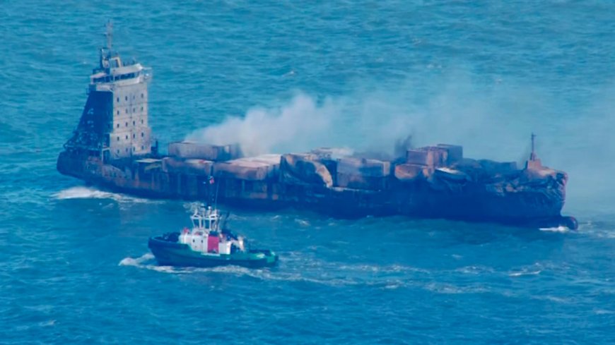 How North Sea ship crash could have lethal consequences for wildlife