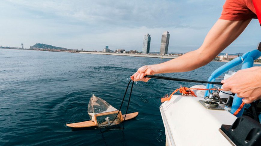 Citizen science to fight marine plastic pollution and improve environmental management