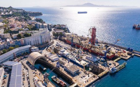 Gibdock completes renewal of Technip's Deep Blue