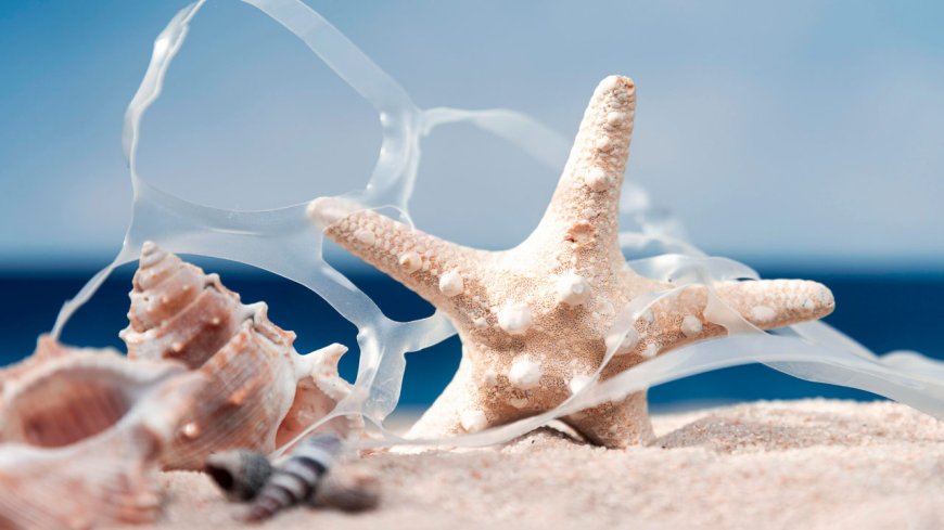 USC researchers develop plastic substitute from mineral found in seashells