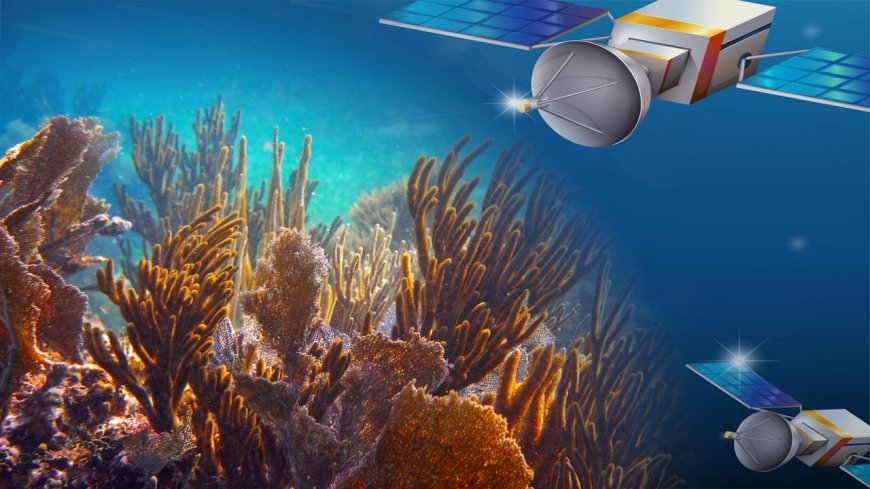 Satellites a solution for tracking coral reef health