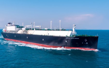 Two Alpha Gas carriers to get enhanced operational support with Wärtsilä Lifecycle Agreement