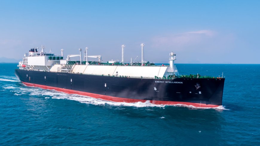 Two Alpha Gas carriers to get enhanced operational support with Wärtsilä Lifecycle Agreement