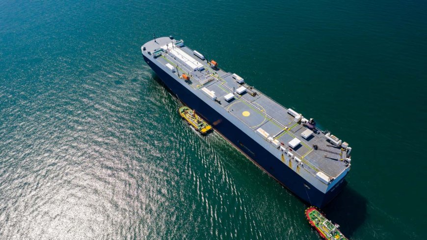 Egypt's first finished-vehicle logistics terminal opens