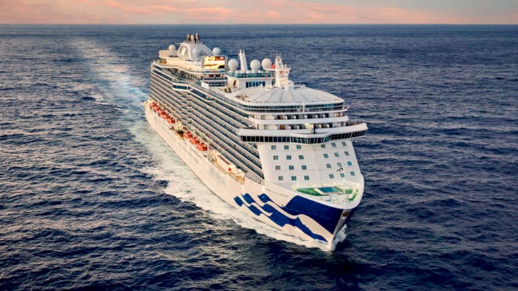 Wärtsilä’s auto gasification solution to provide waste disposal for the Regal Princess