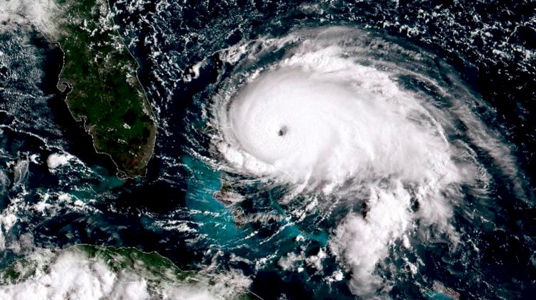 After Hurricane Dorian: JAXPORT and MSC support The Bahamas