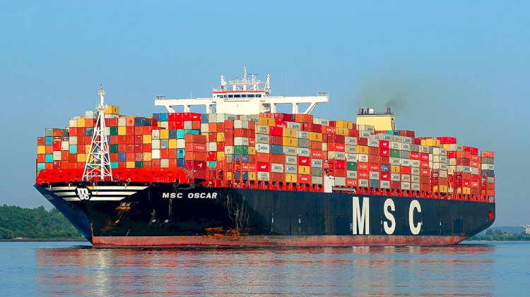 MSC rules out Arctic exploration on environmental concerns