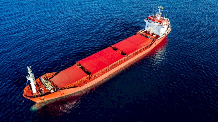 ClassNK releases new software for bulk carriers and oil tankers